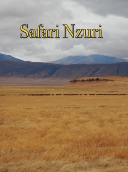 Safari Nzuri cover art