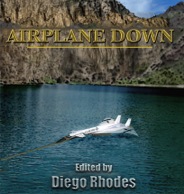 Airplane Down bk Cover